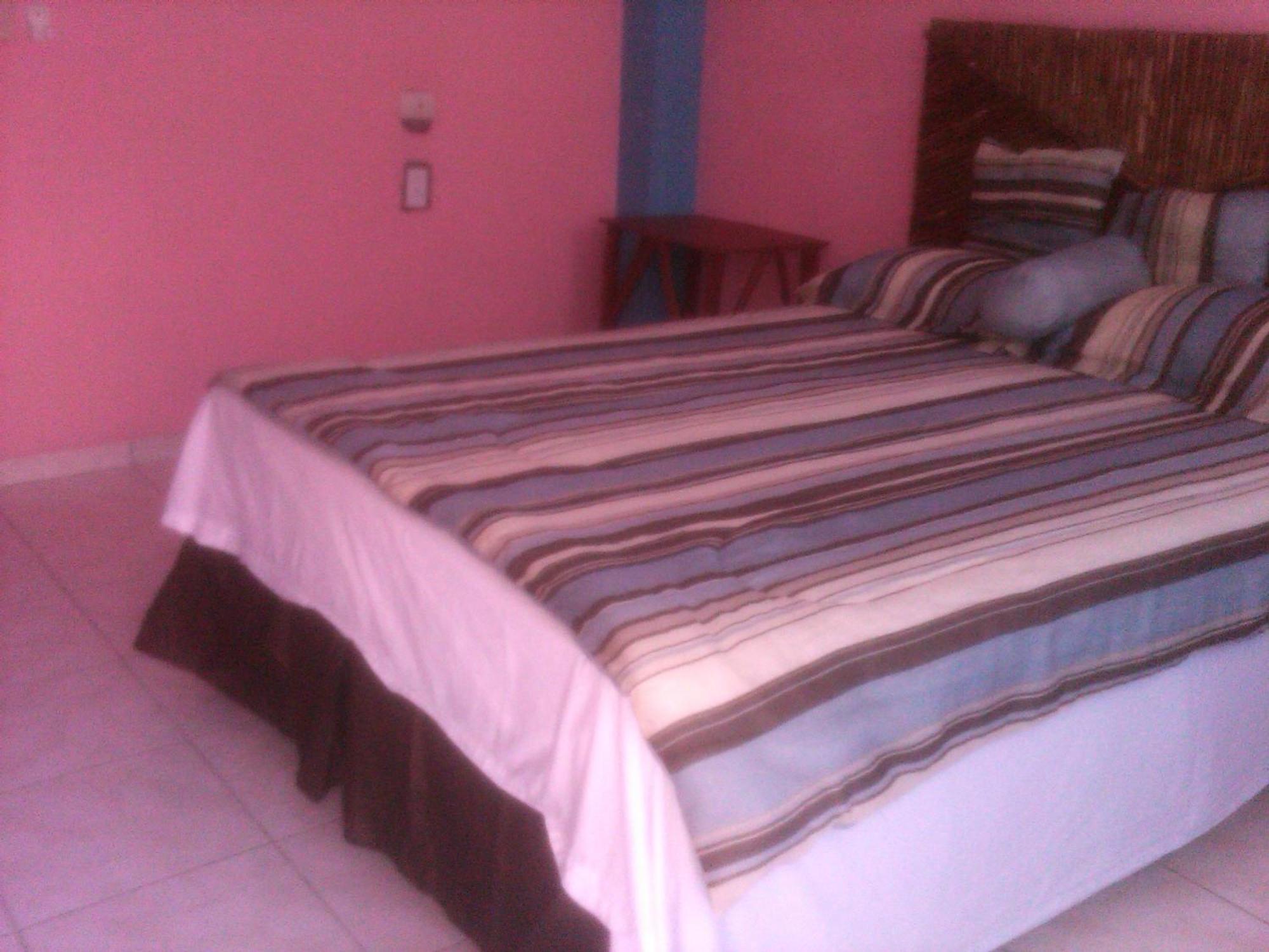 La Delphina Bed And Breakfast Bar And Grill La Ceiba Exteriér fotografie